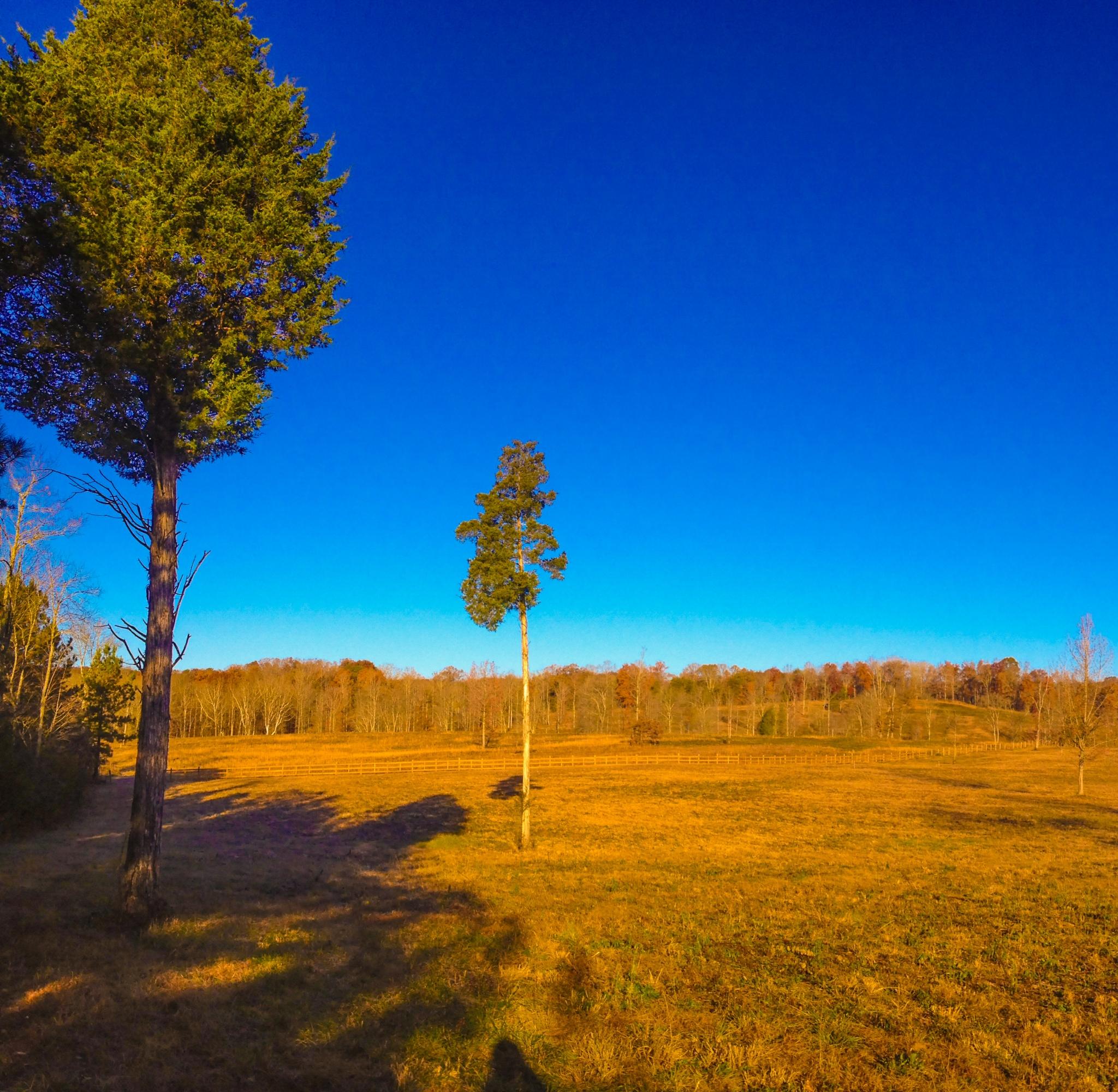 6907 Pine Grove Providence Road Loudon, TN 37774 - Photo 3 of 5 Sharp Lot 1c