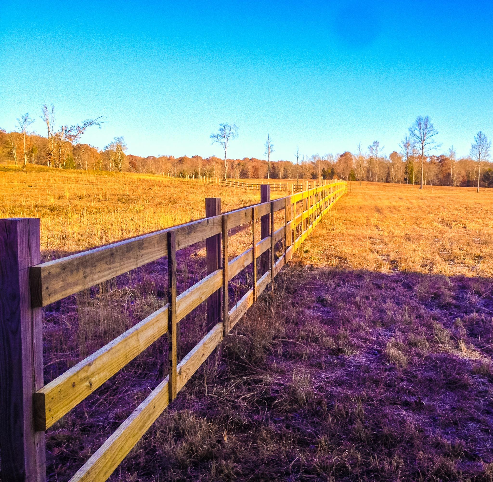 6907 Pine Grove Providence Road Loudon, TN 37774 - Photo 4 of 5 Sharp Lot 1d