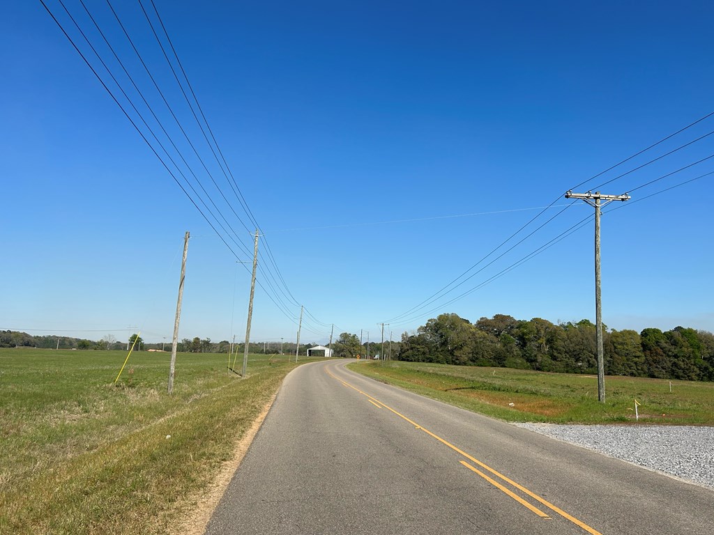 54.28-ac Webb Road Dothan, AL 36301 - Photo 48 of 57