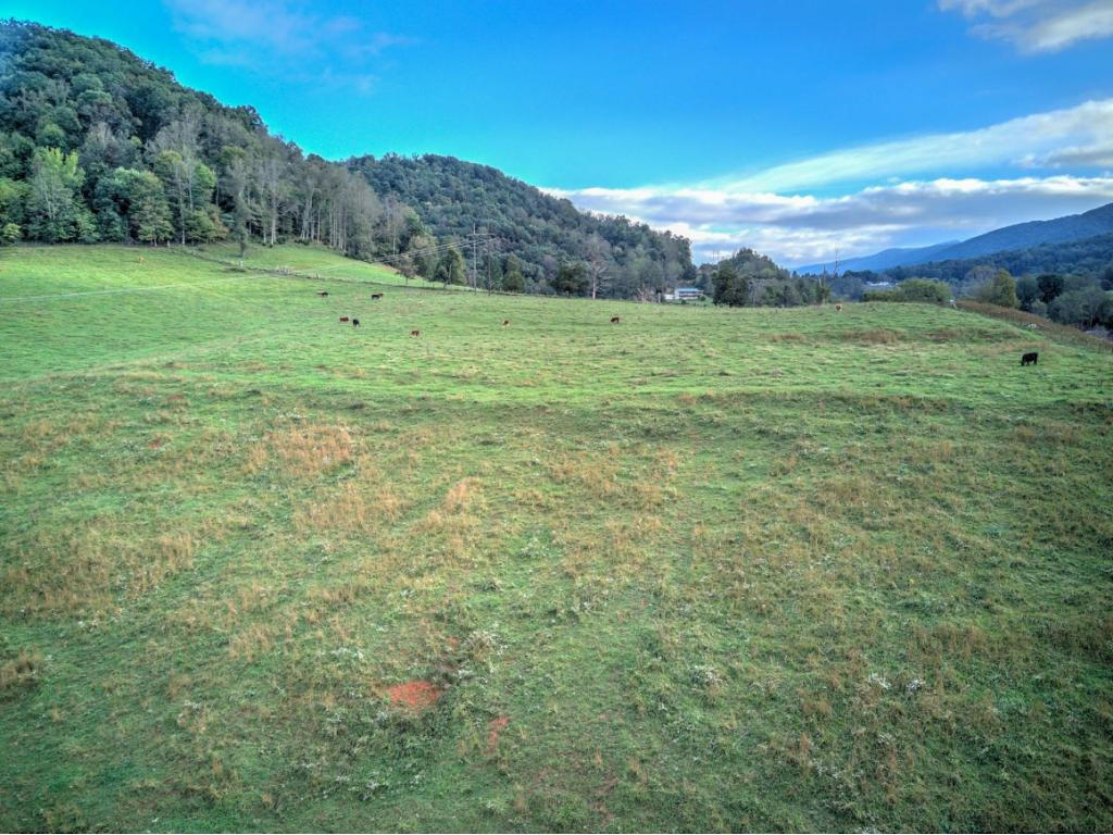 763 Blue Springs Road Elizabethton, TN 37643 - Photo 25 of 36 20191127115841594118000000-o
