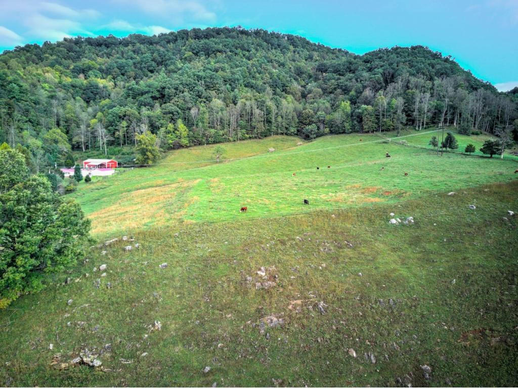 763 Blue Springs Road Elizabethton, TN 37643 - Photo 36 of 36 20191127115839861558000000-o