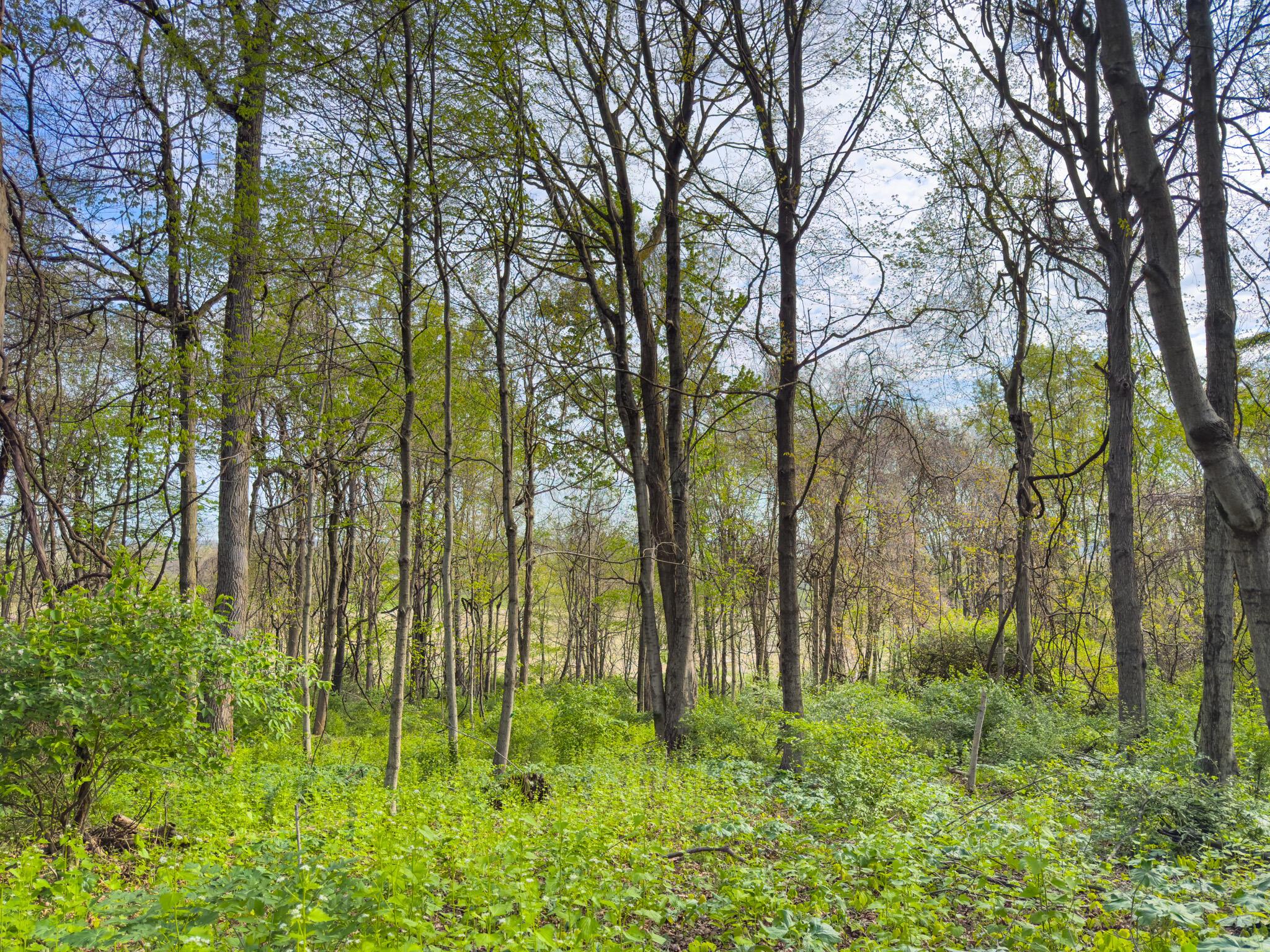 9874 Cincinnati-Zanesville Road Southwest Amanda, OH 43102 - Photo 26 of 50 cinci-zane rd sw-26