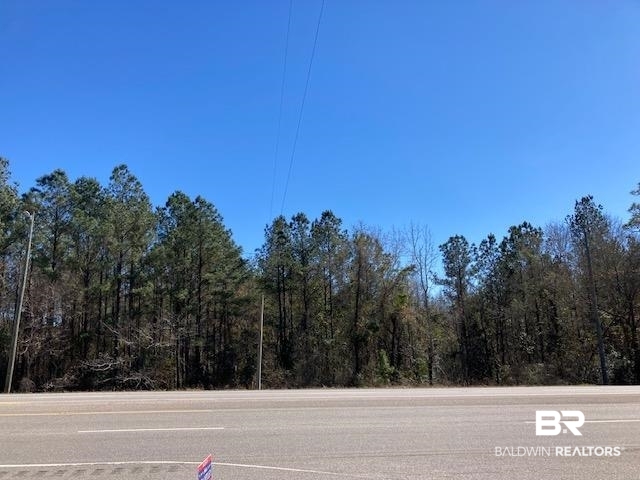 22000-block Highway 31 Flomaton, AL 36441 - Photo 11 of 20