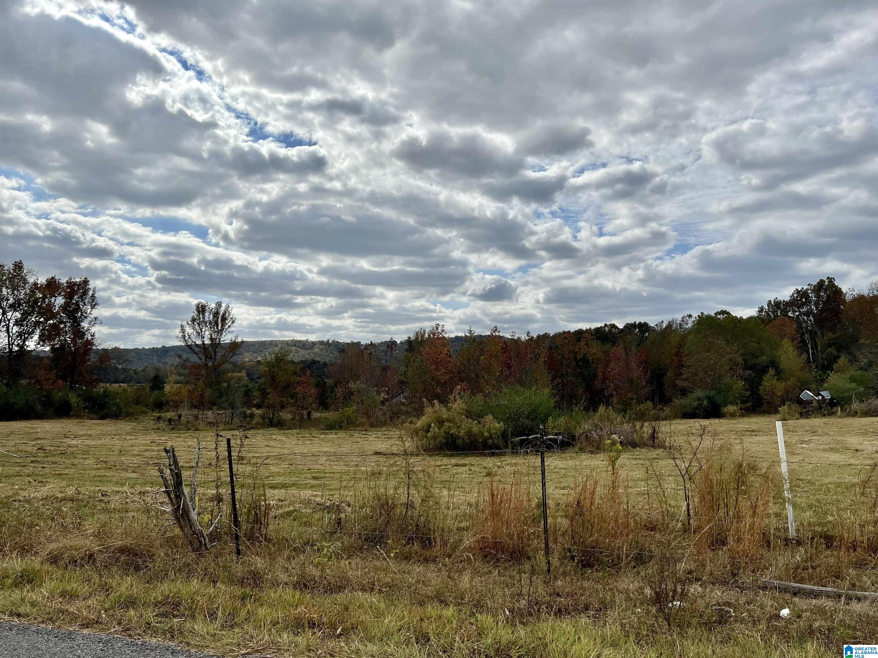 0 Rock Springs Road, Unit 52 24 Warrior, AL 35180 - Photo 18 of 39