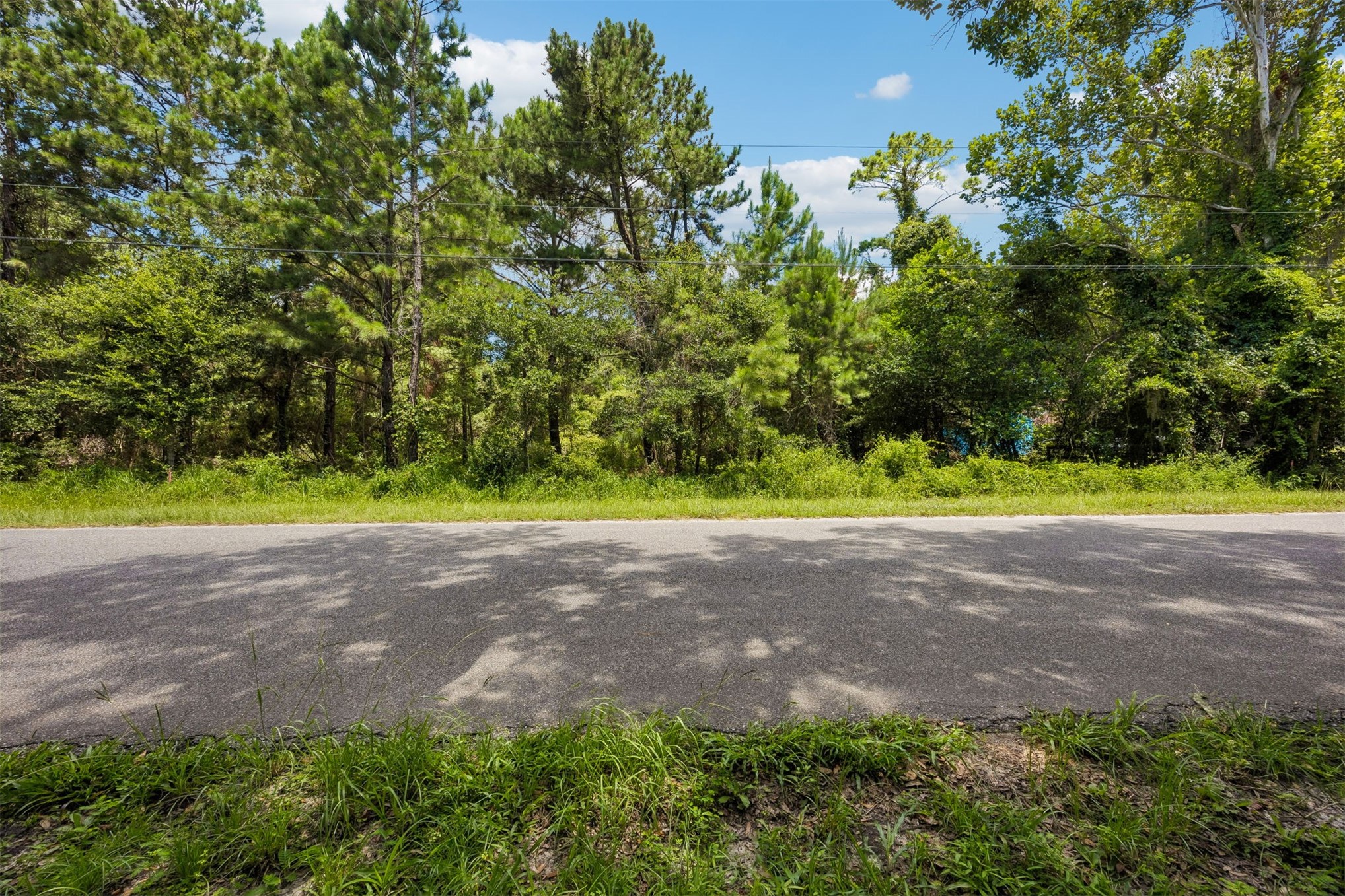 1675 Philips Manor Road Fernandina Beach, FL 32034 - Photo 6 of 11 Spacious Residential Homesite on a quiet peaceful street!