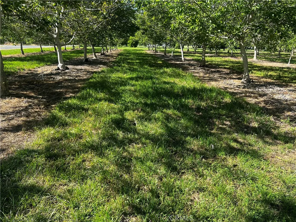 4180 County 203 Santa Rosa, CA 95407 - Photo 2 of 7 a view of park with trees