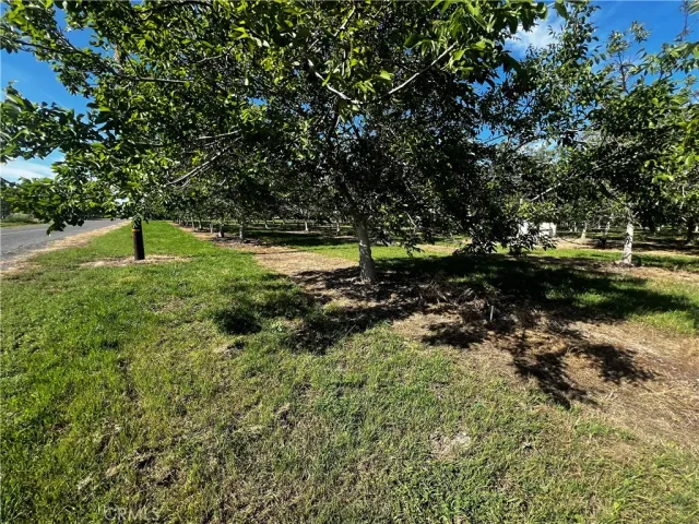 a view of a lake with a tree