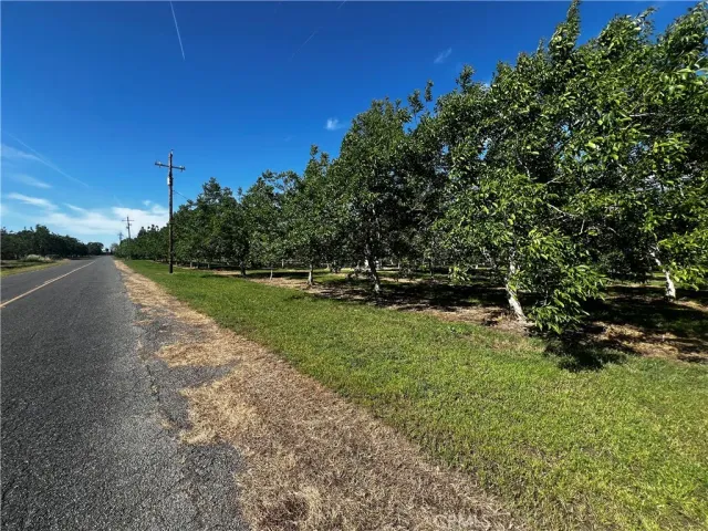a view of a park with large trees