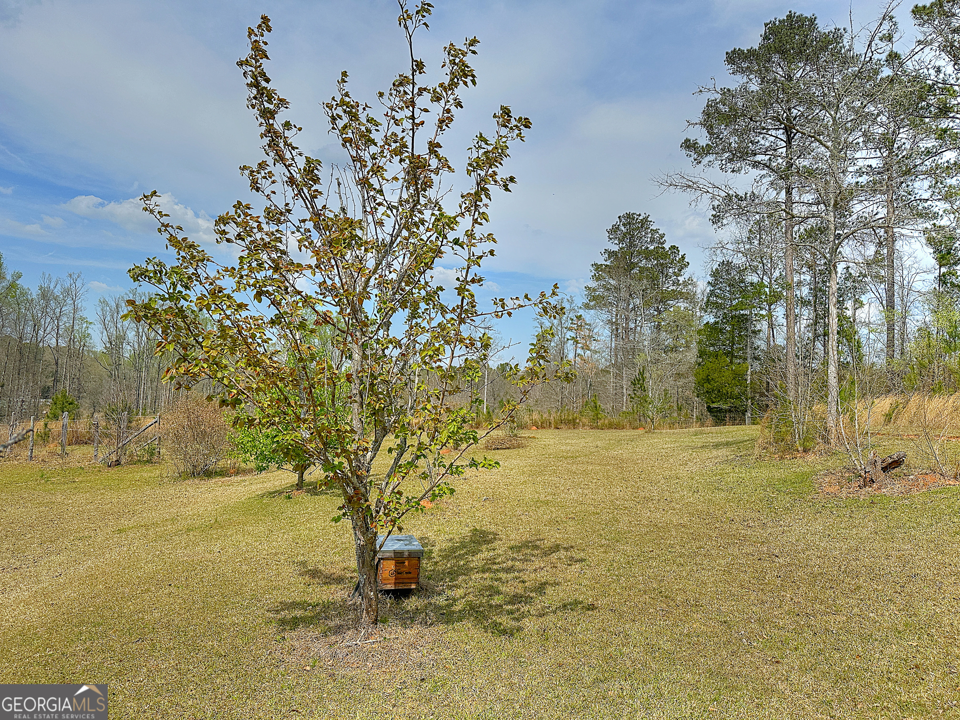 4642 New Franklin Road Hogansville, GA 30230 - Photo 53 of 54