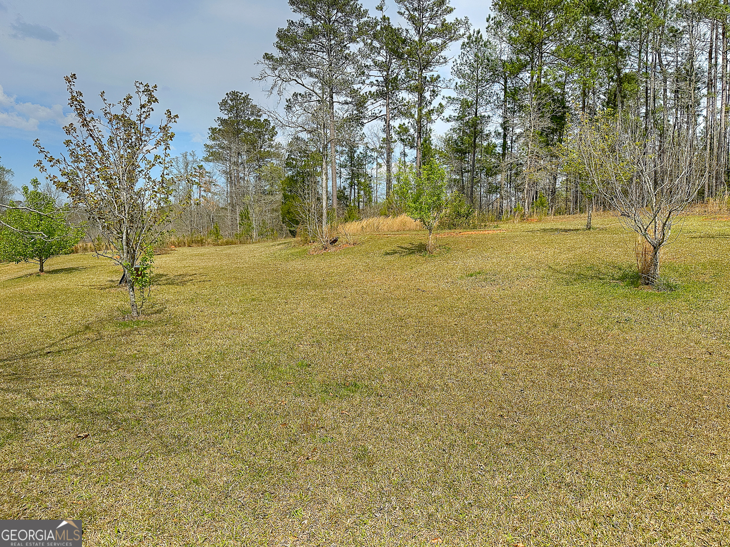 4642 New Franklin Road Hogansville, GA 30230 - Photo 54 of 54