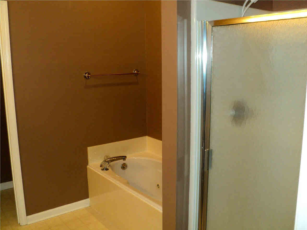 736 Holly Bush Road Brandon, MS 39047 - Photo 18 of 29 Master bath with separate shower!