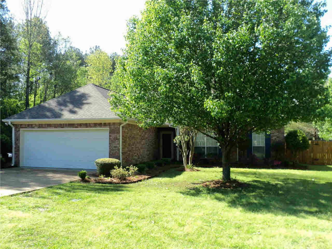 736 Holly Bush Road Brandon, MS 39047 - Photo 3 of 29 Photo 3
