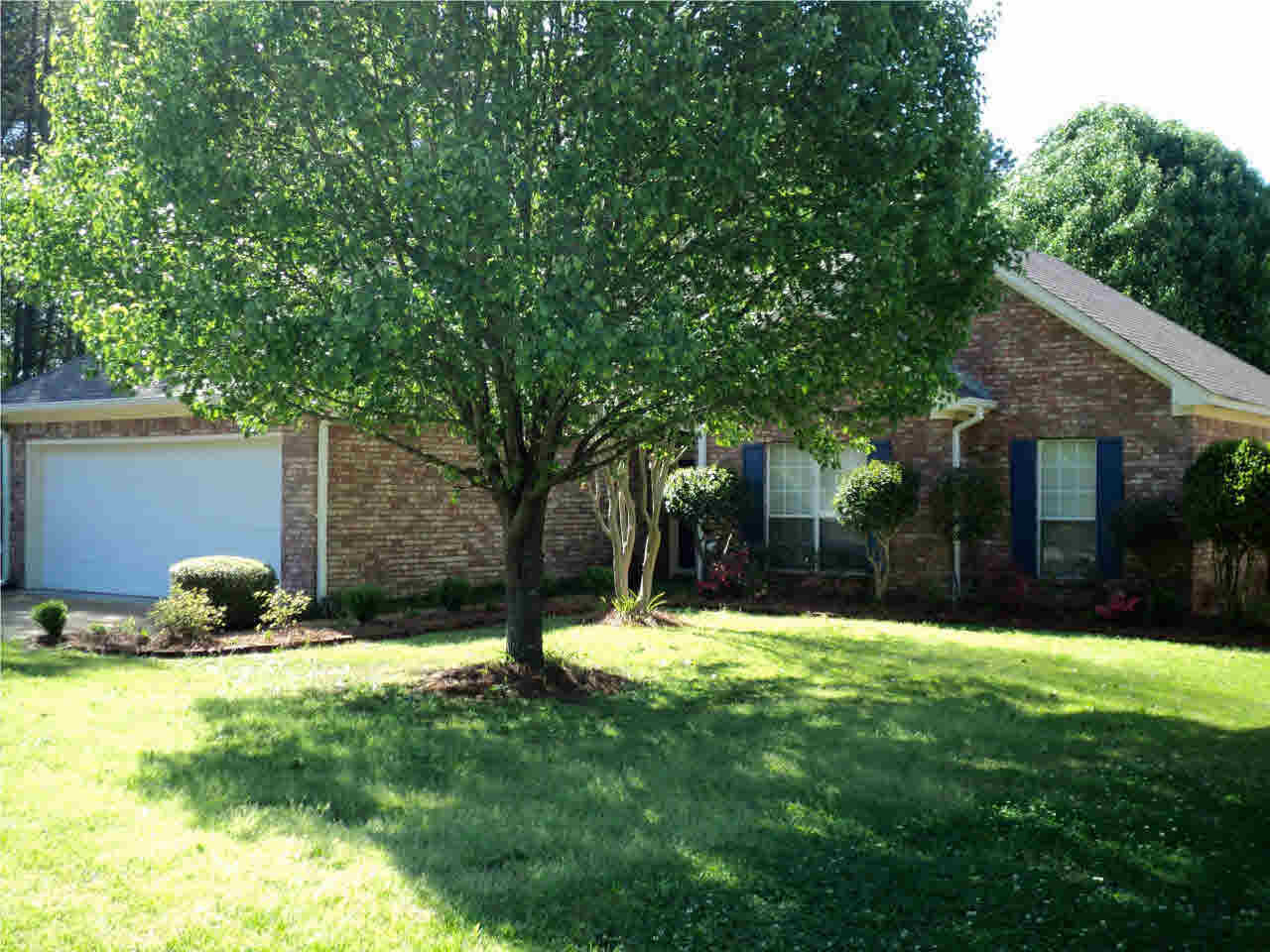 736 Holly Bush Road Brandon, MS 39047 - Photo 4 of 29 Photo 4