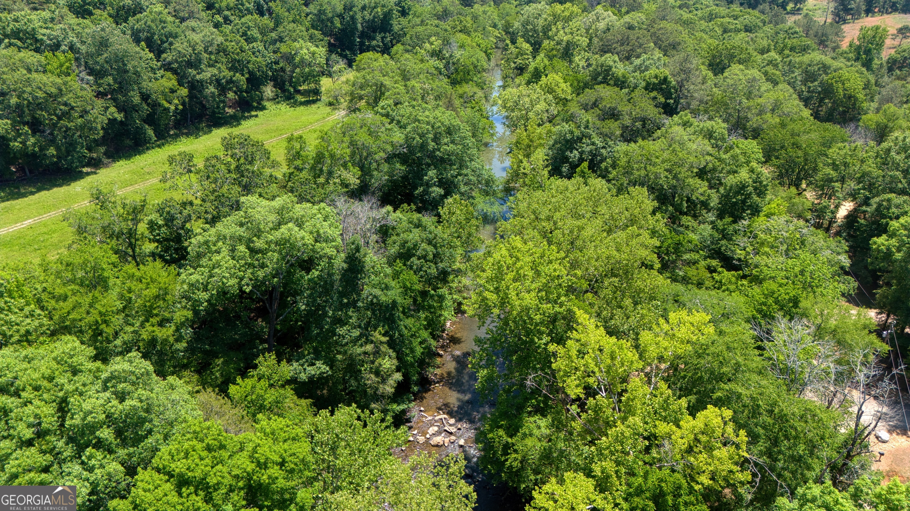 610 Kings Bridge Road Cave Spring, GA 30124 - Photo 71 of 72 a view of a lush green forest with trees and houses