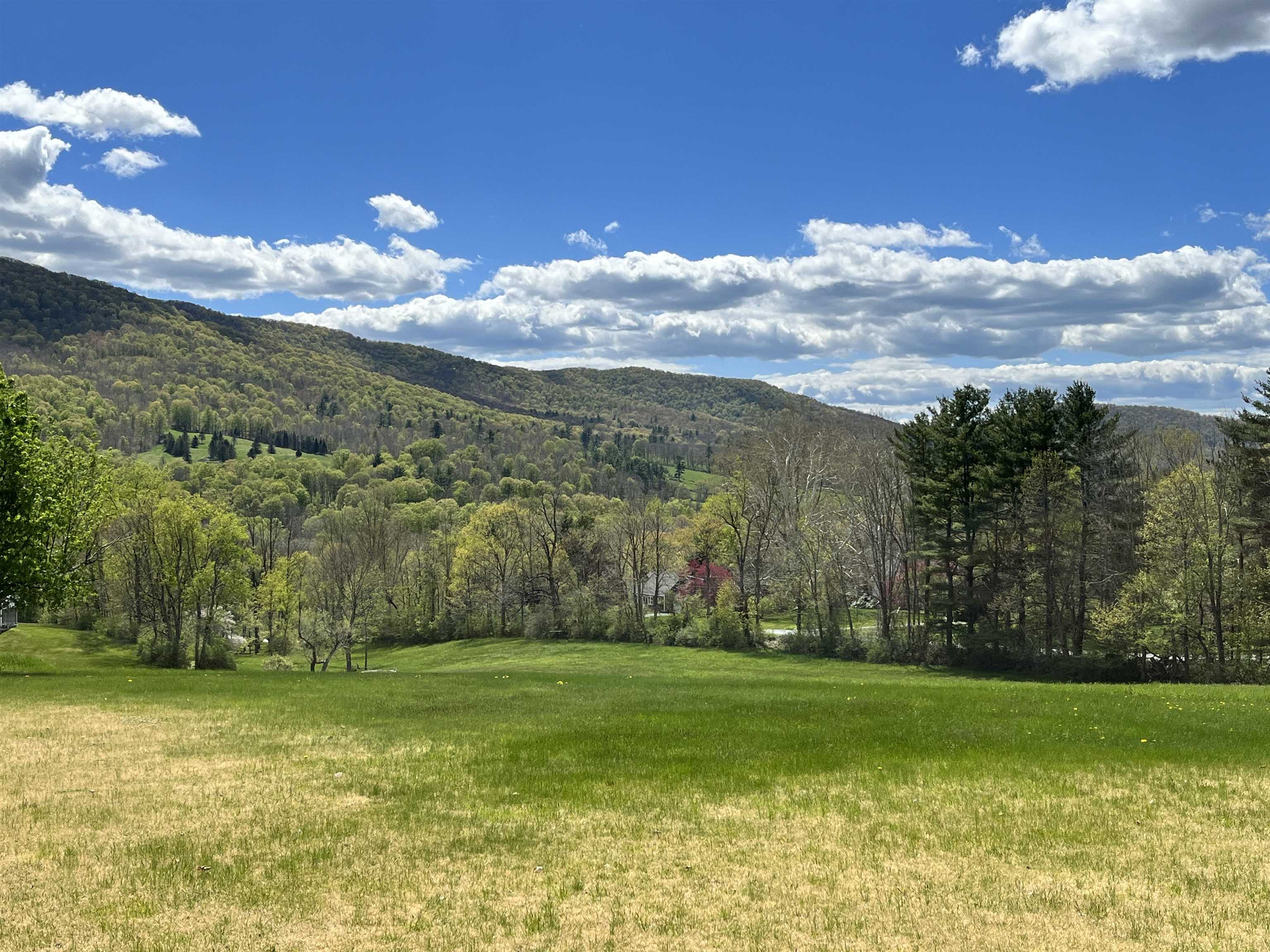 367 Berwal Road Arlington, VT 05250 - Photo 6 of 31