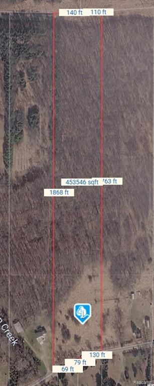 V1 Murray Road Dansville, MI 48819 - Photo 3 of 16