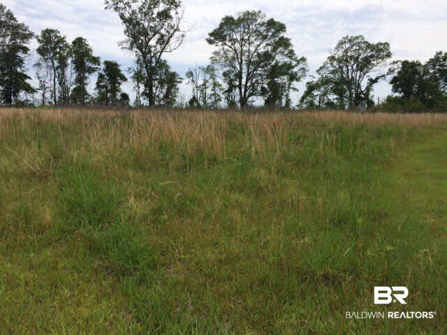 164 Pony Road Brewton, AL 36426 - Photo 1 of 1