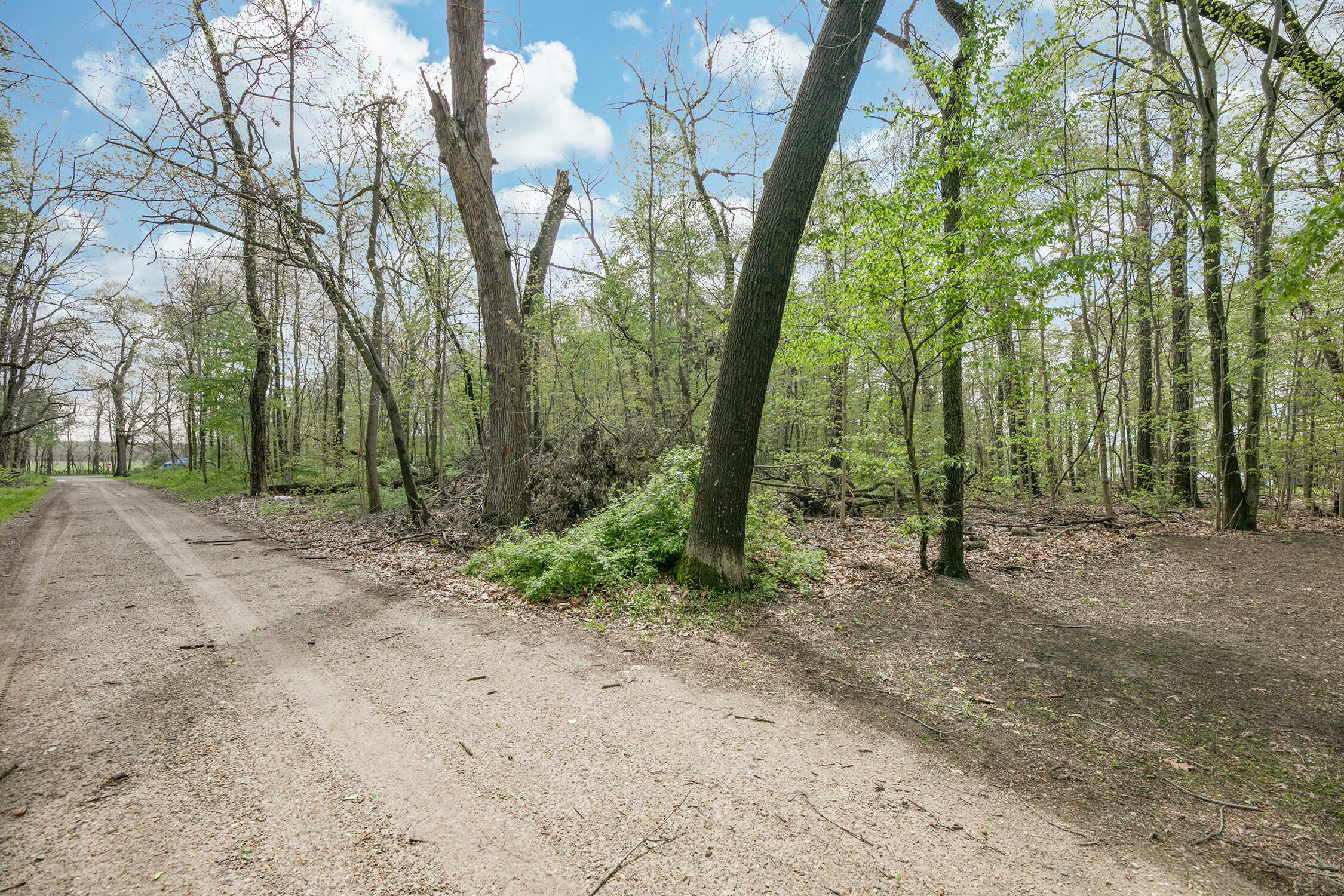 53-54 Walnut Drive Decatur, MI 49045 - Photo 8 of 8 Angle_0D6A3259MLS