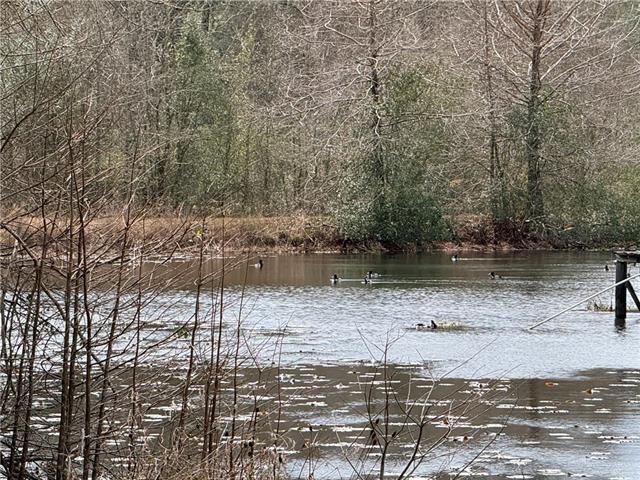 24050 Lowe Davis Road Covington, LA 70435 - Photo 2 of 43