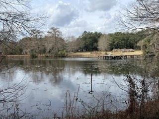 24050 Lowe Davis Road Covington, LA 70435 - Photo 3 of 43