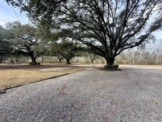 24050 Lowe Davis Road Covington, LA 70435 - Photo 31 of 43