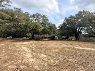 24050 Lowe Davis Road Covington, LA 70435 - Photo 34 of 43