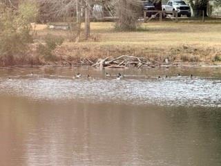 24050 Lowe Davis Road Covington, LA 70435 - Photo 35 of 43