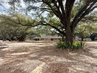 24050 Lowe Davis Road Covington, LA 70435 - Photo 37 of 43