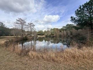 24050 Lowe Davis Road Covington, LA 70435 - Photo 38 of 43