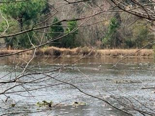 24050 Lowe Davis Road Covington, LA 70435 - Photo 39 of 43