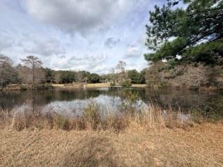 24050 Lowe Davis Road Covington, LA 70435 - Photo 40 of 43