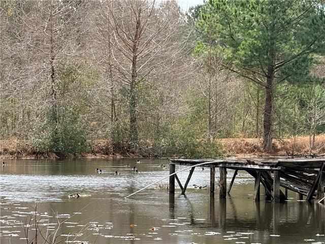 24050 Lowe Davis Road Covington, LA 70435 - Photo 4 of 43