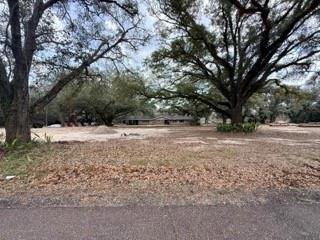 24050 Lowe Davis Road Covington, LA 70435 - Photo 43 of 43