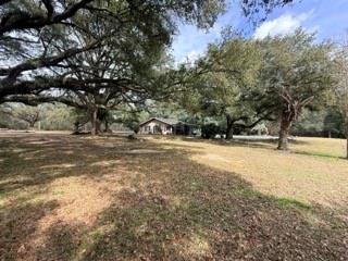 24050 Lowe Davis Road Covington, LA 70435 - Photo 5 of 43