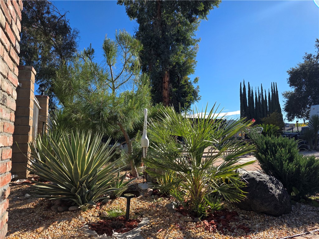 45371 Cardiff Street Hemet, CA 92544 - Photo 13 of 14 a view of a plant in a garden