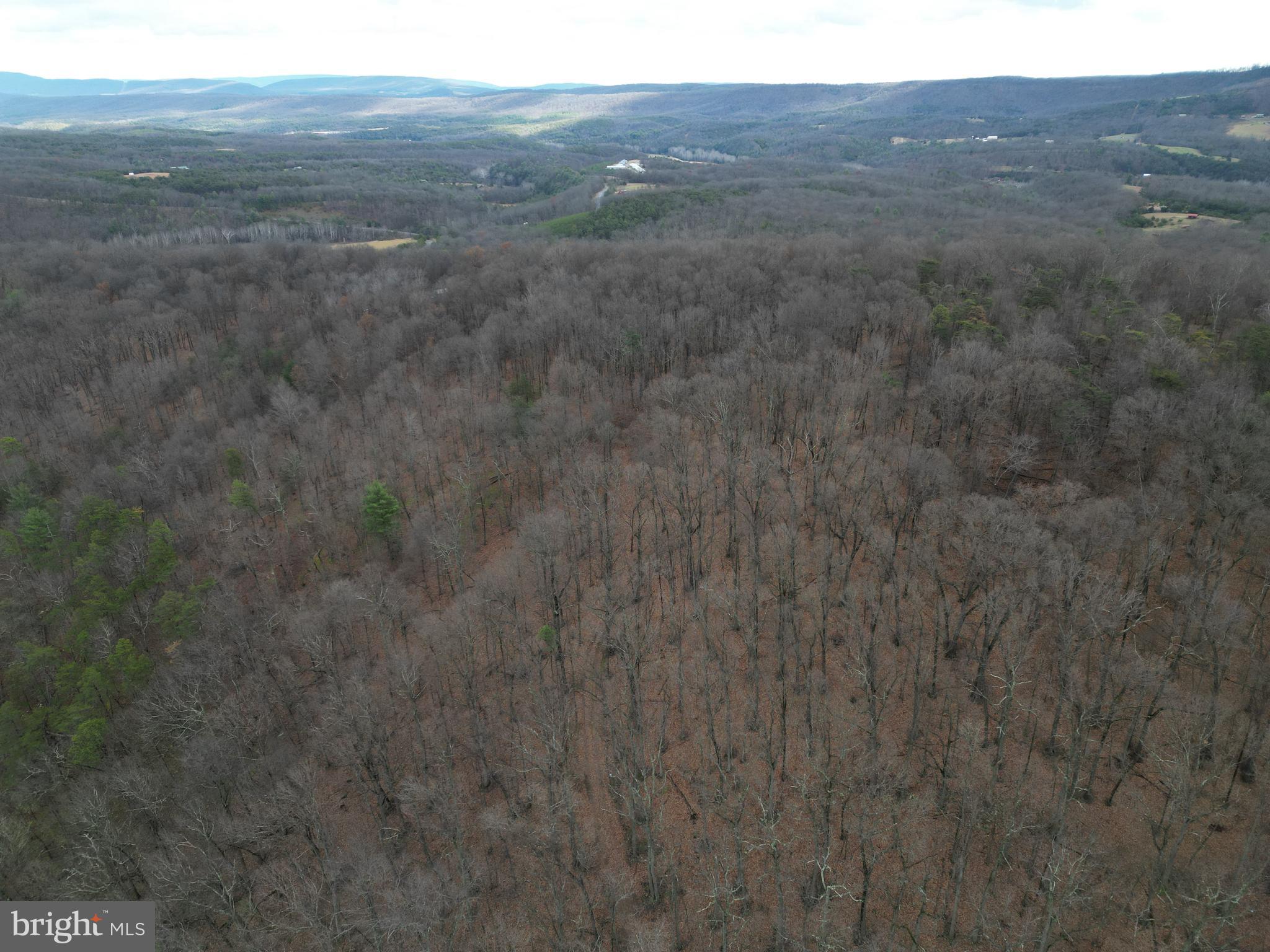 Lot 70-71 Mill Mountain Road Romney, WV 26757 - Photo 51 of 52
