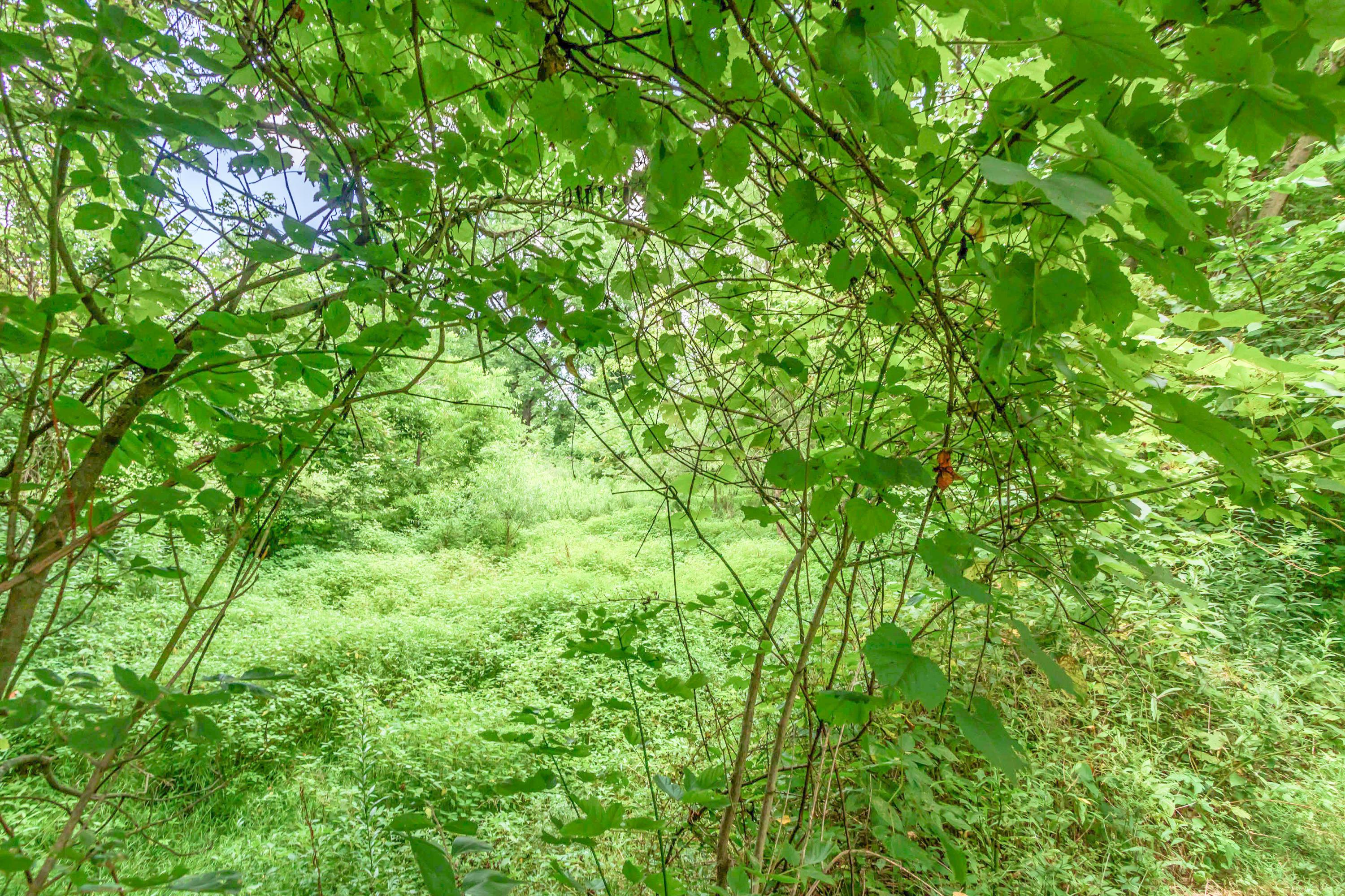0 Olentangy River Road Delaware, OH 43015 - Photo 8 of 20