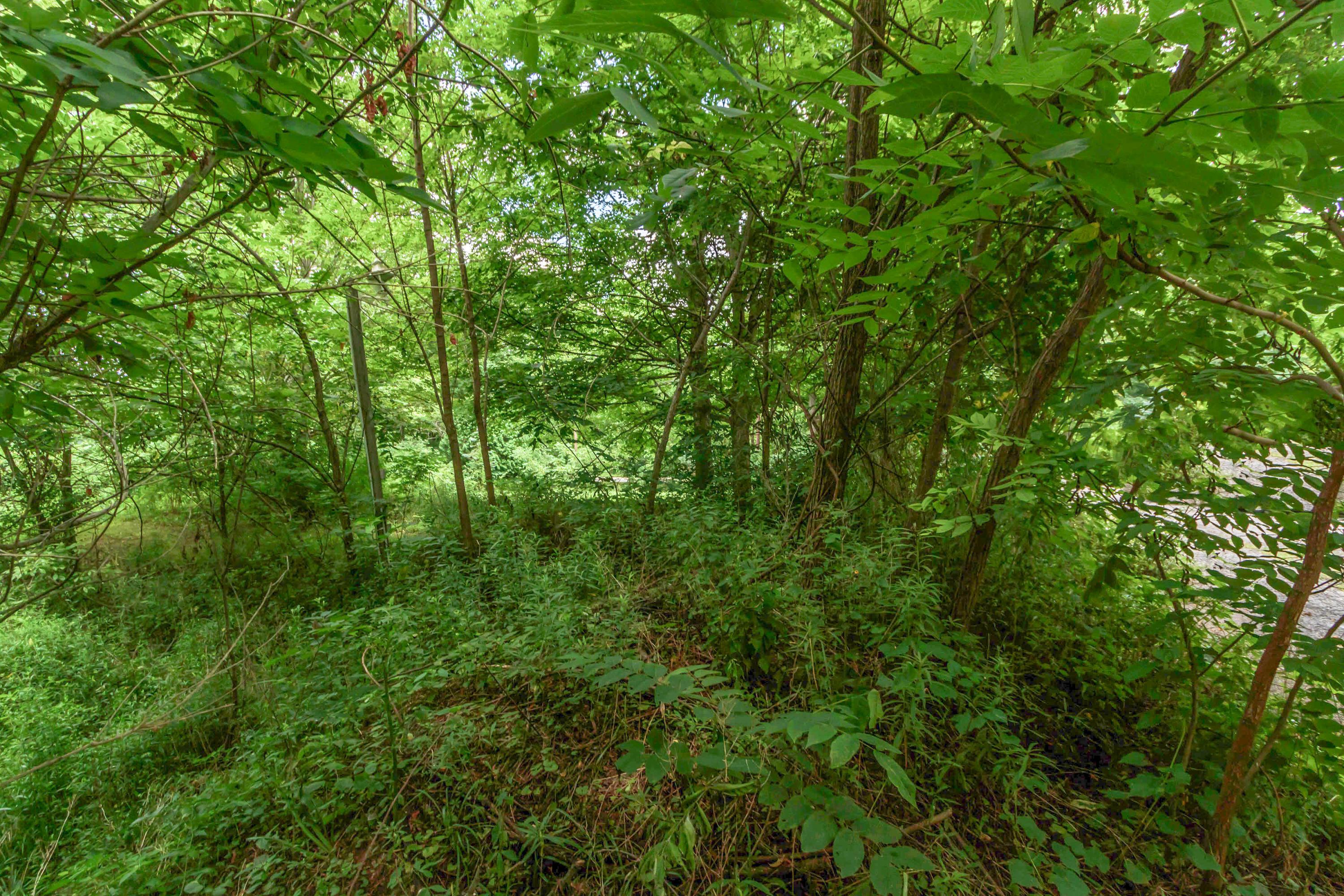 0 Olentangy River Road Delaware, OH 43015 - Photo 9 of 20