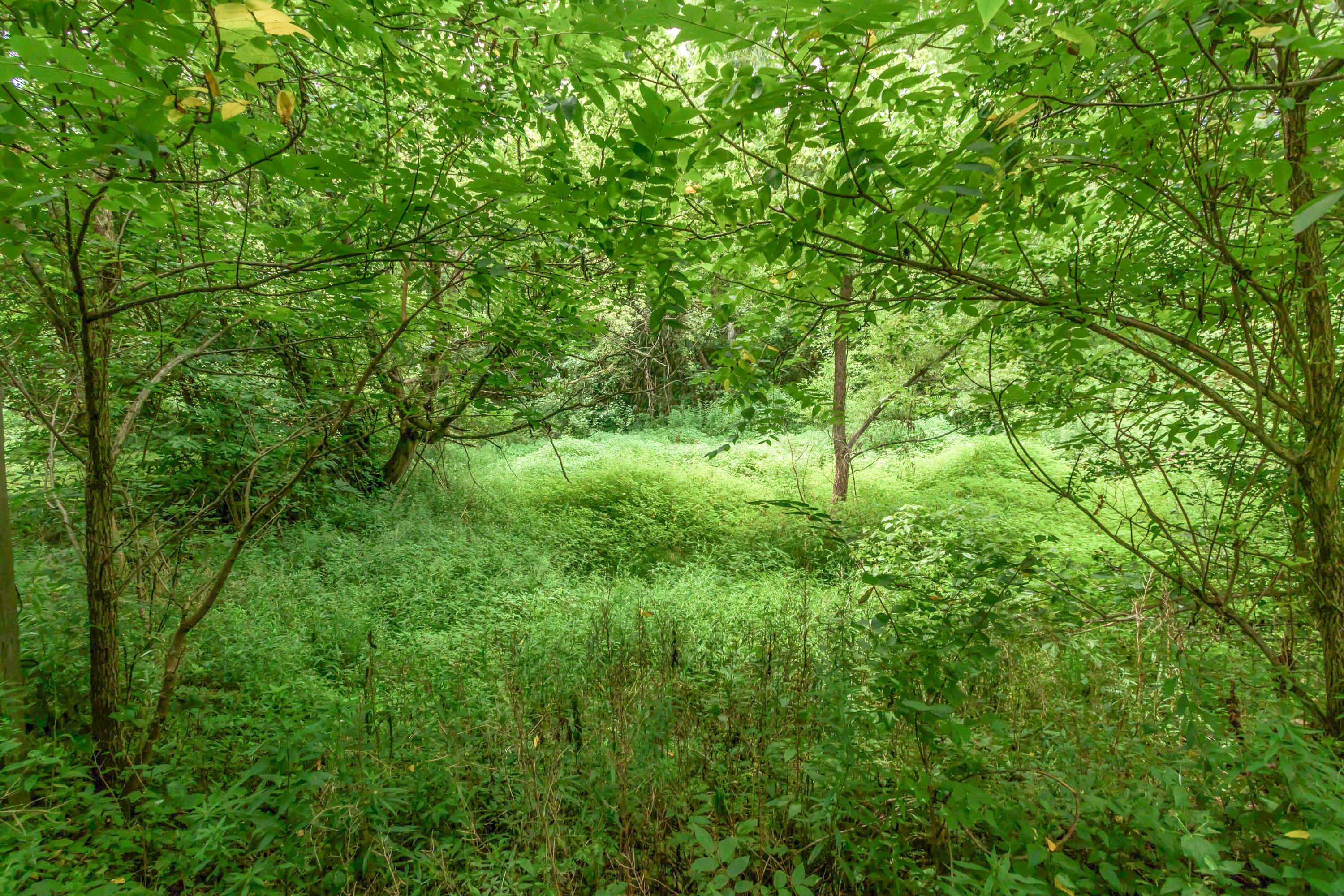 0 Olentangy River Road Delaware, OH 43015 - Photo 10 of 20