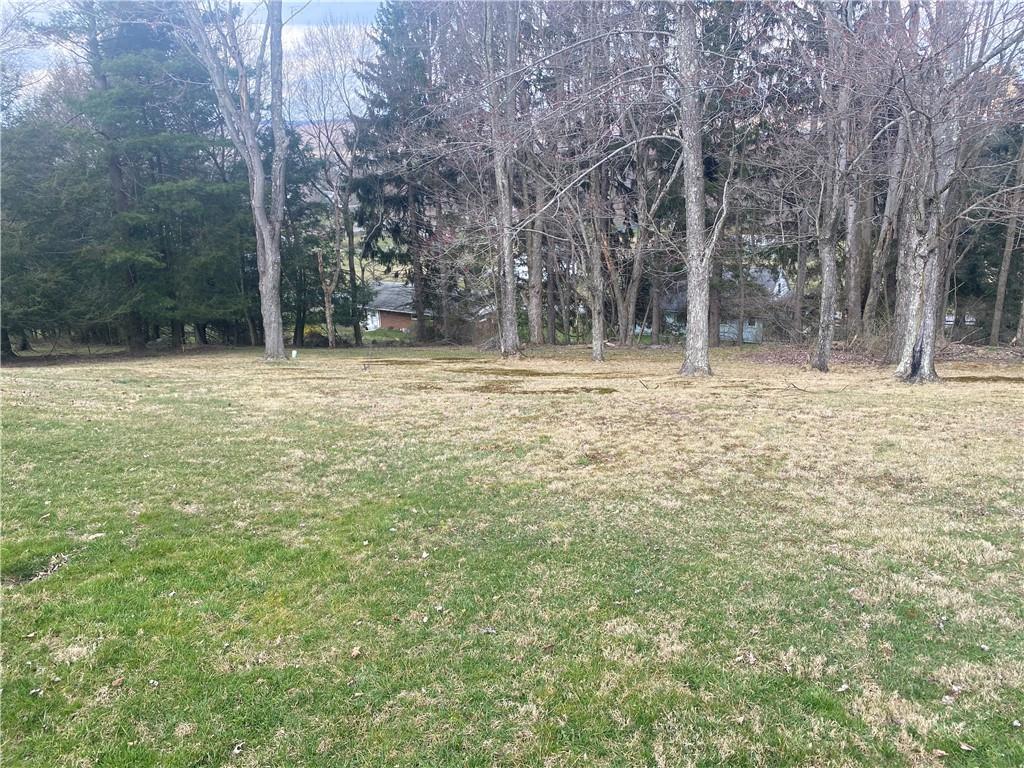 149 North View Heights Road New Florence, PA 15944 - Photo 7 of 31 a backyard of a house with lots of green space