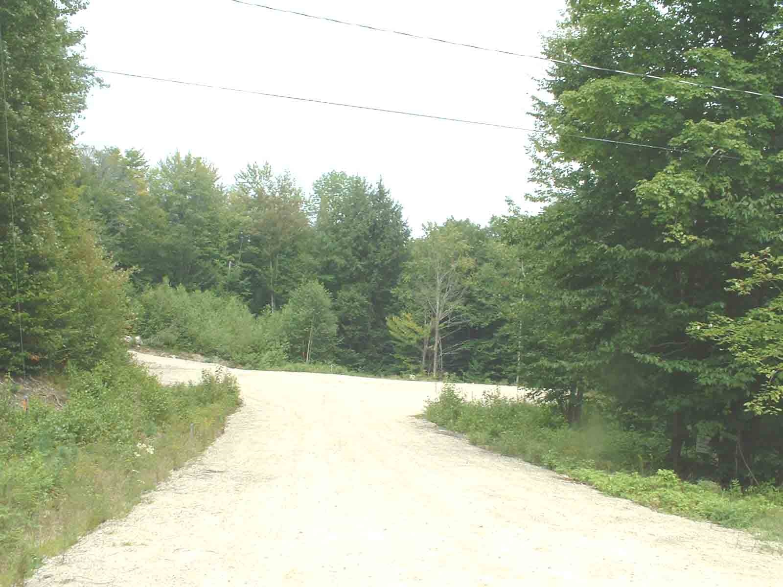 Lot 2 Adams Road Alexandria, NH 03222 - Photo 3 of 8