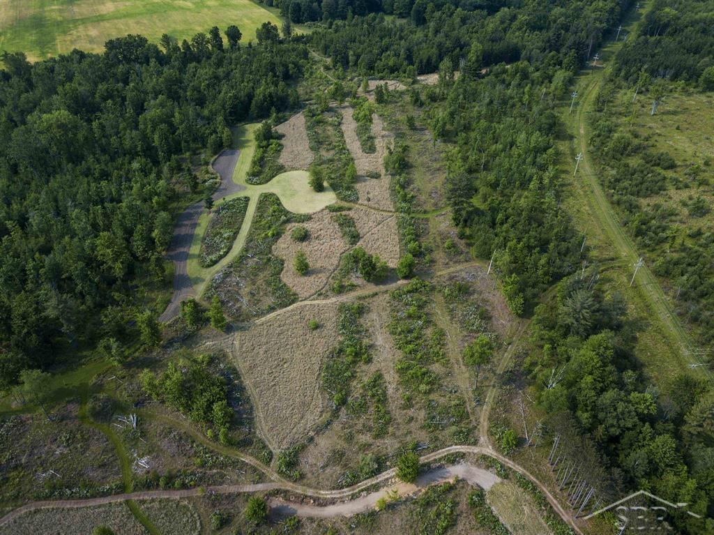 66-acres North Geneva Road Coleman, MI 48618 - Photo 6 of 44 50112001-5.JPG
