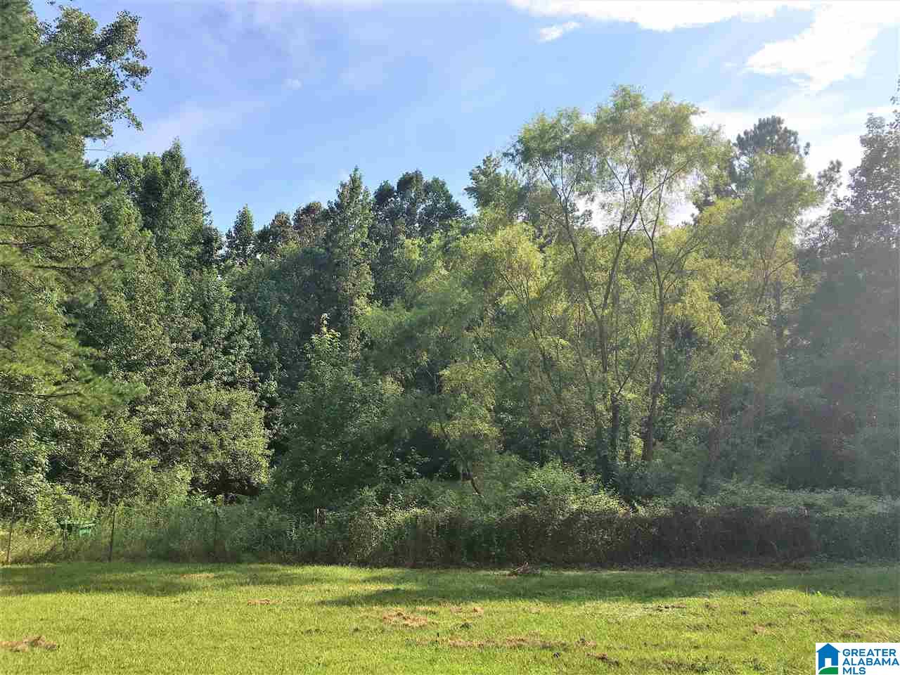 17226 Highway 78 Fruithurst, AL 36262 - Photo 10 of 33