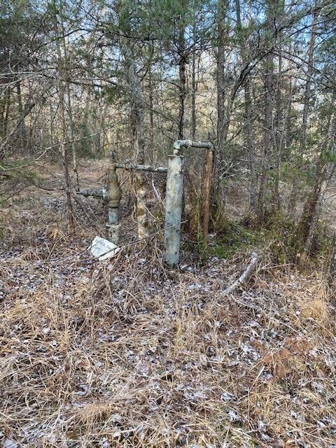 142 Cole Road Deer Lodge, TN 37726 - Photo 59 of 77 20220322195753201160000000-o