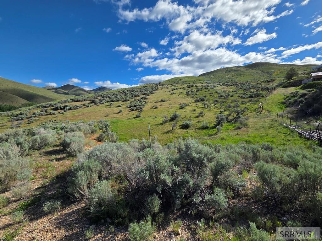 Nkn East Tower Creek Road Carmen, ID 83462 - Photo 41 of 63