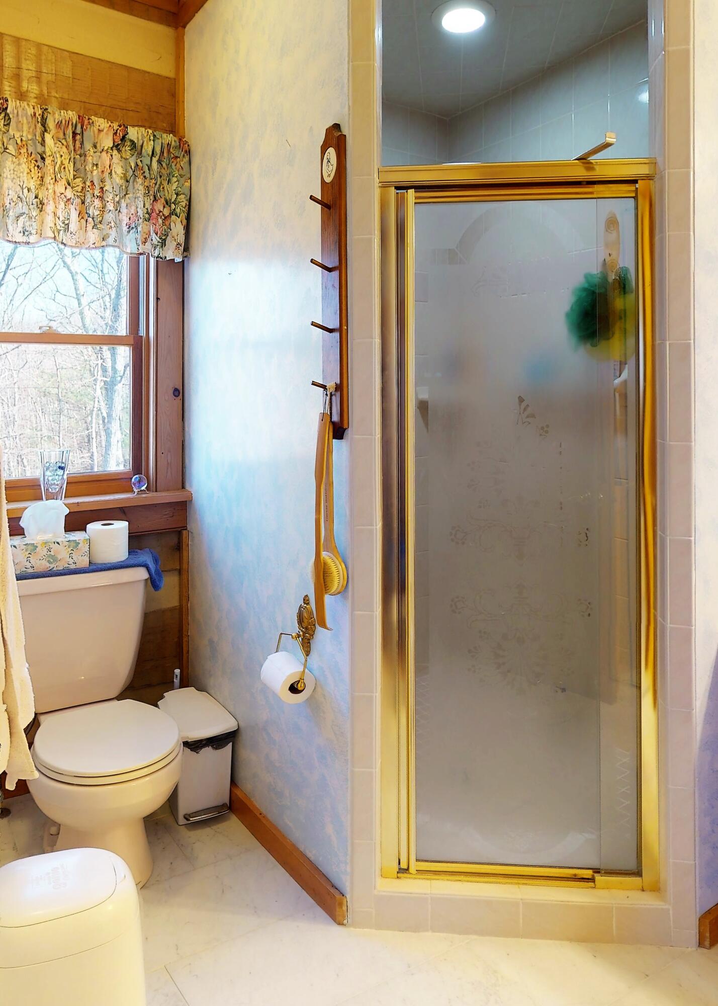 1070 Lightnen Road Parrottsville, TN 37843 - Photo 25 of 48 Master Bath
