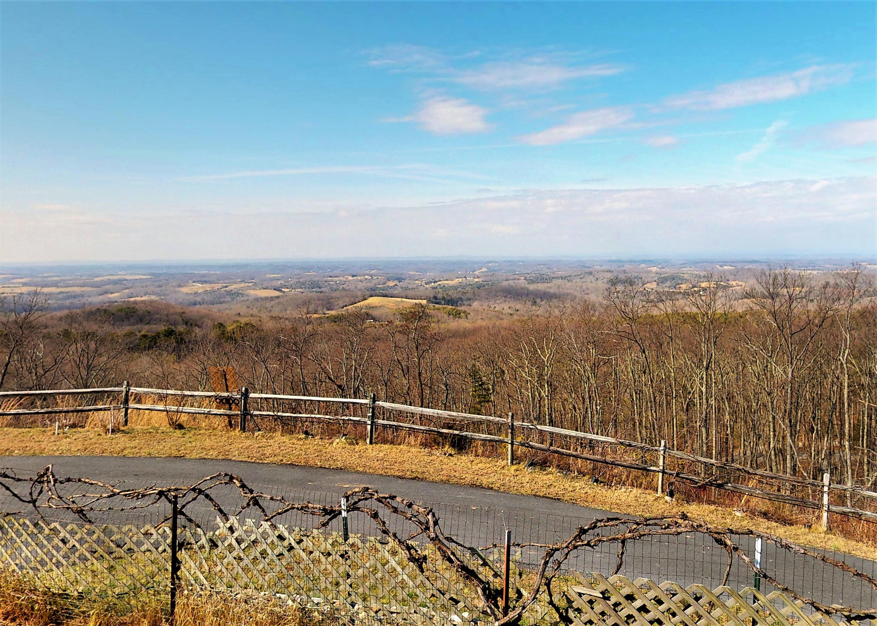 1070 Lightnen Road Parrottsville, TN 37843 - Photo 44 of 48 Views