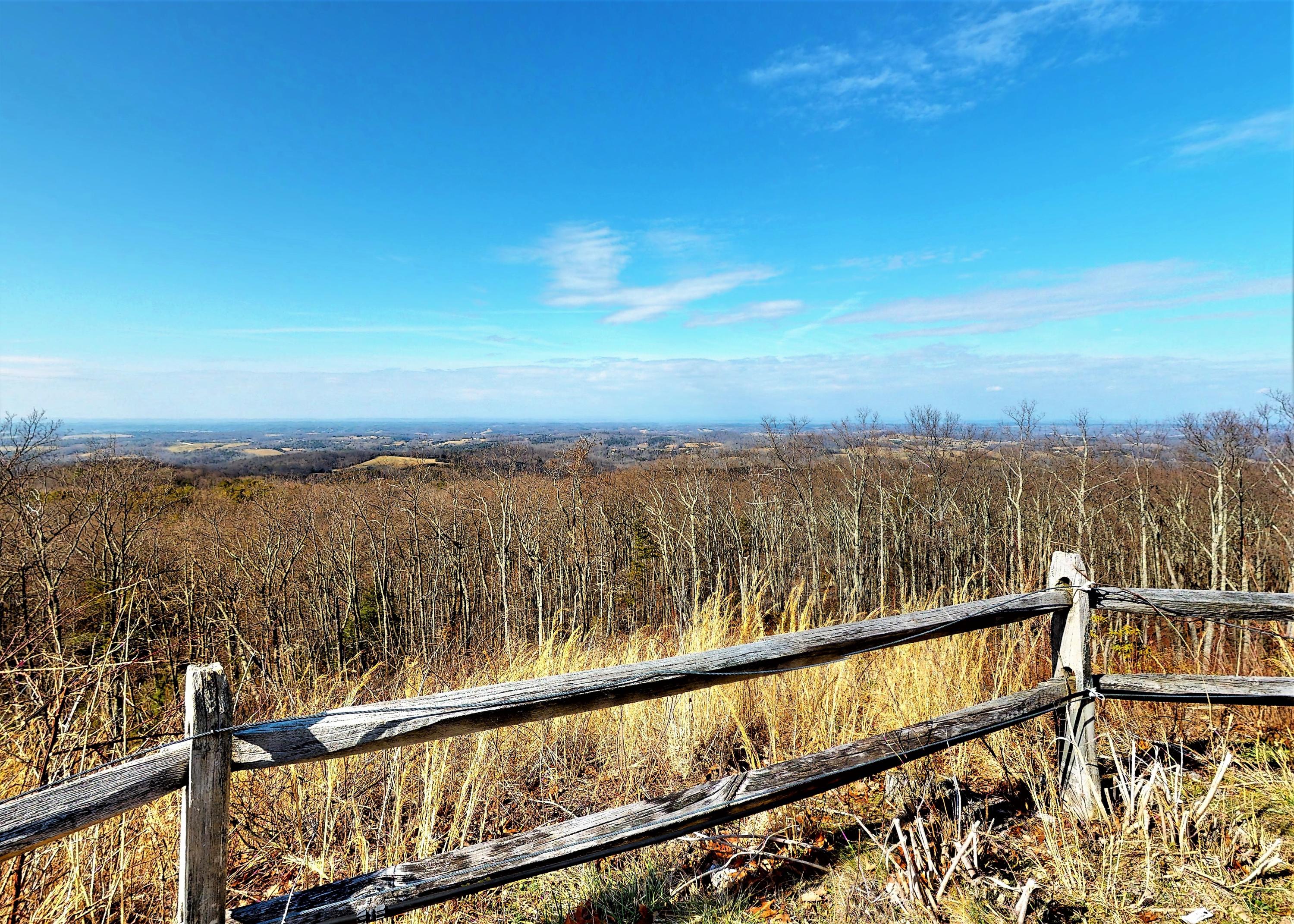 1070 Lightnen Road Parrottsville, TN 37843 - Photo 46 of 48 Views