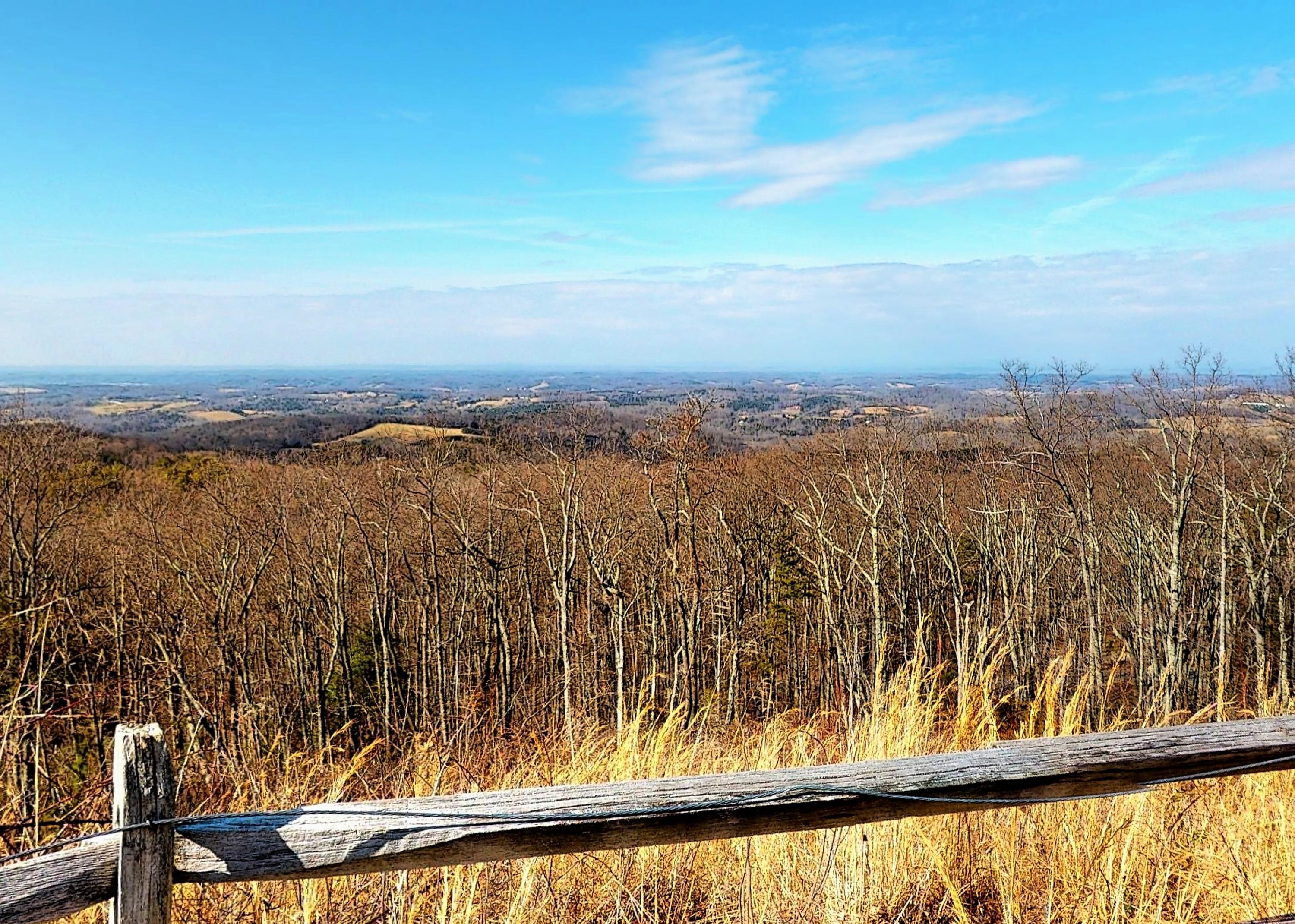 1070 Lightnen Road Parrottsville, TN 37843 - Photo 47 of 48 Views