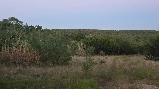a view of a city with lush green forest